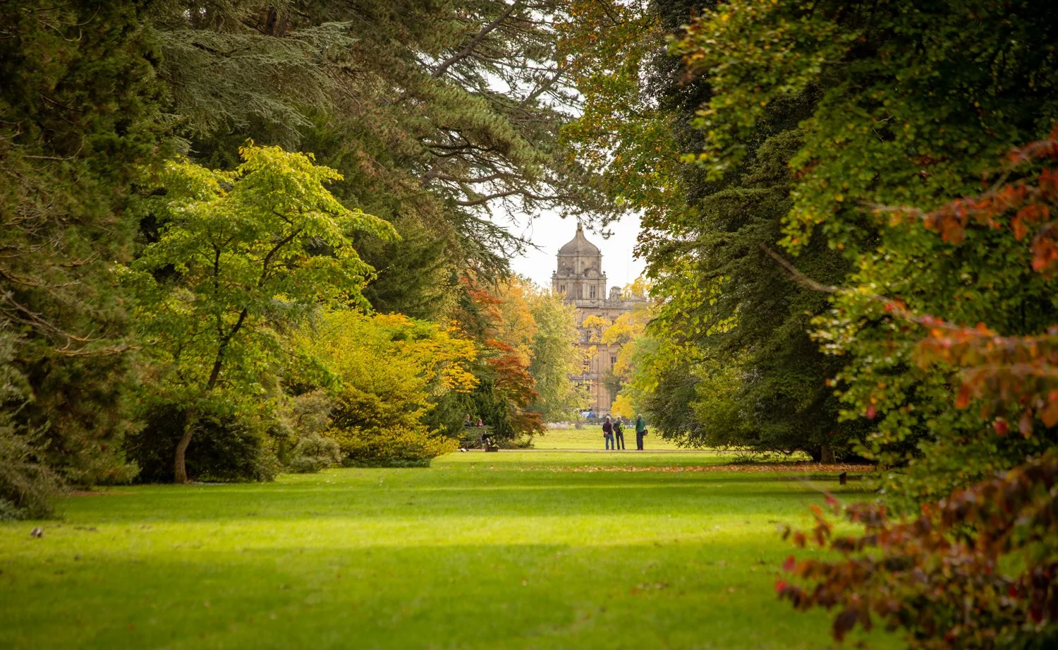 Westonbirt Arboretum