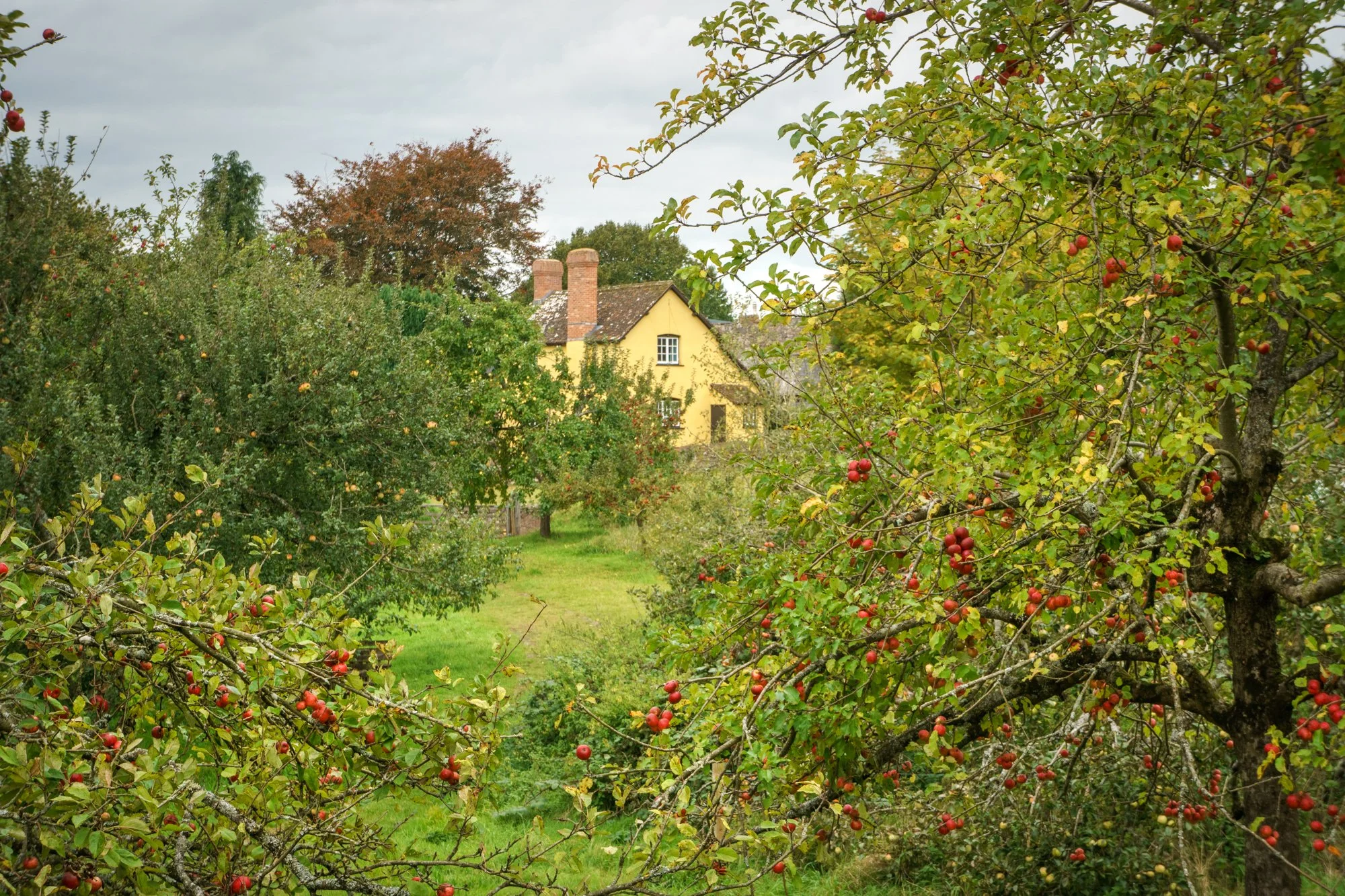 Killerton - National Trust