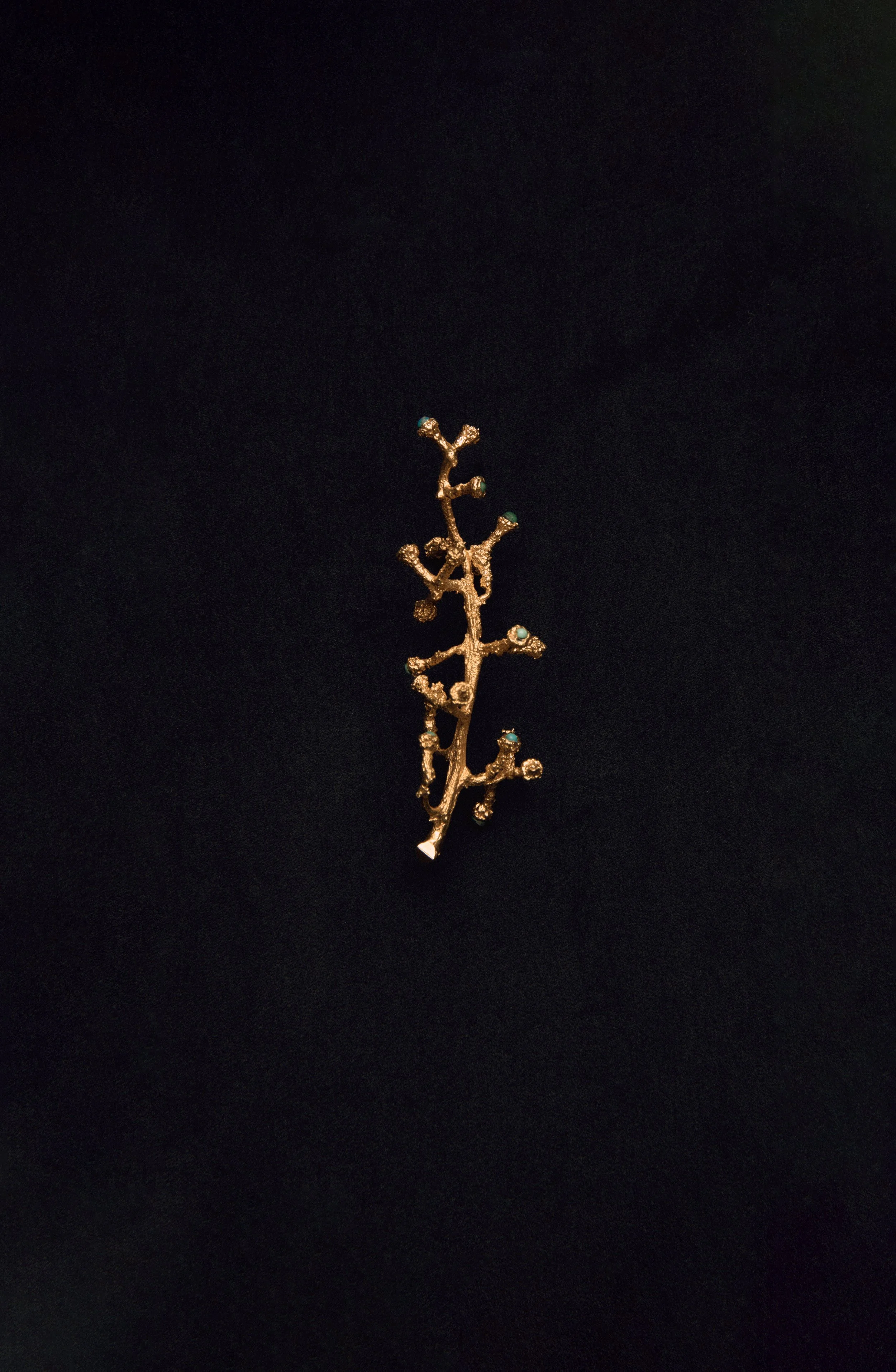 bigWEB-ALIABINOMAIR_JANUARY26_783 copy.jpg