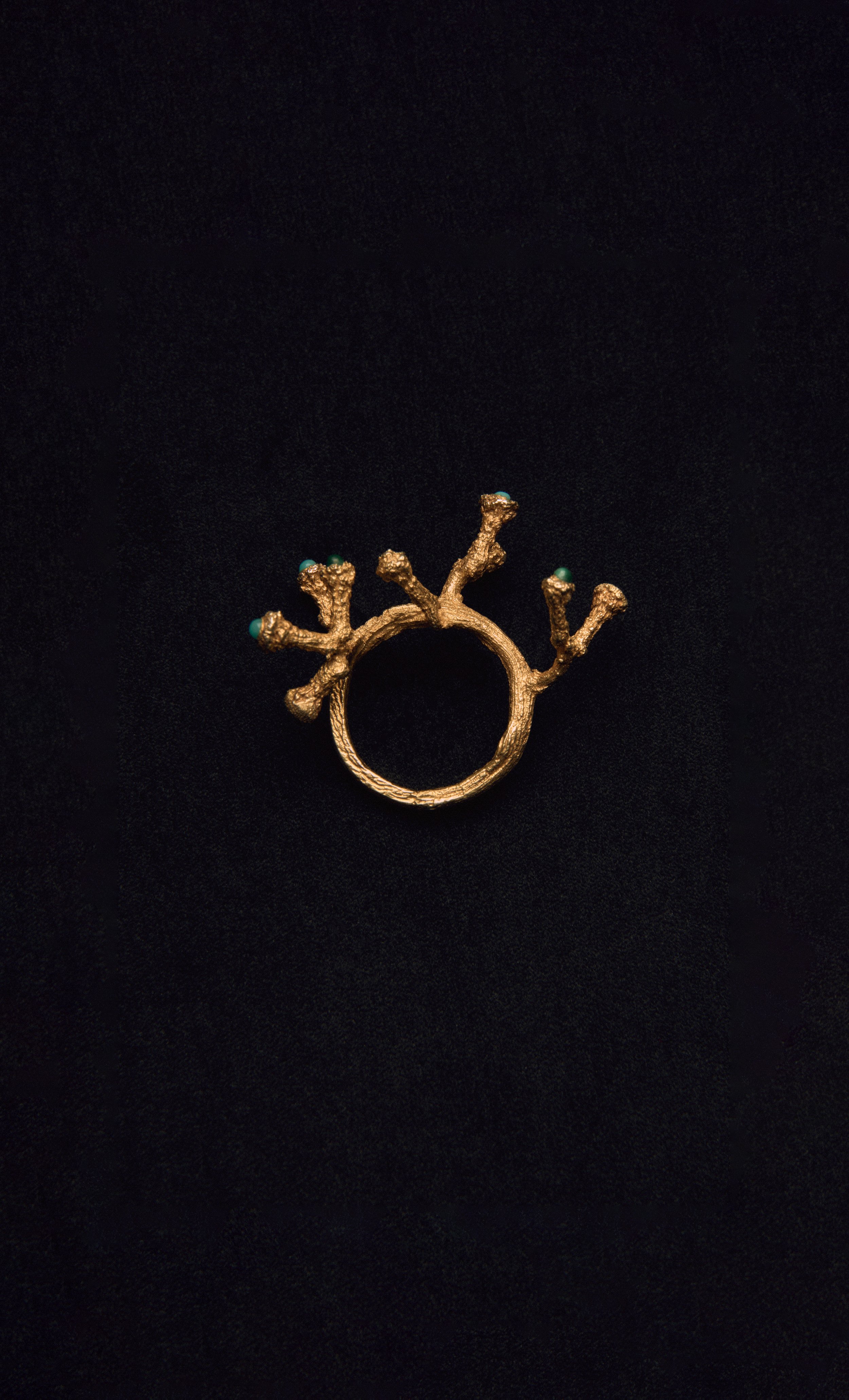 bigWEB-ALIABINOMAIR_JANUARY26_782 copy.jpg