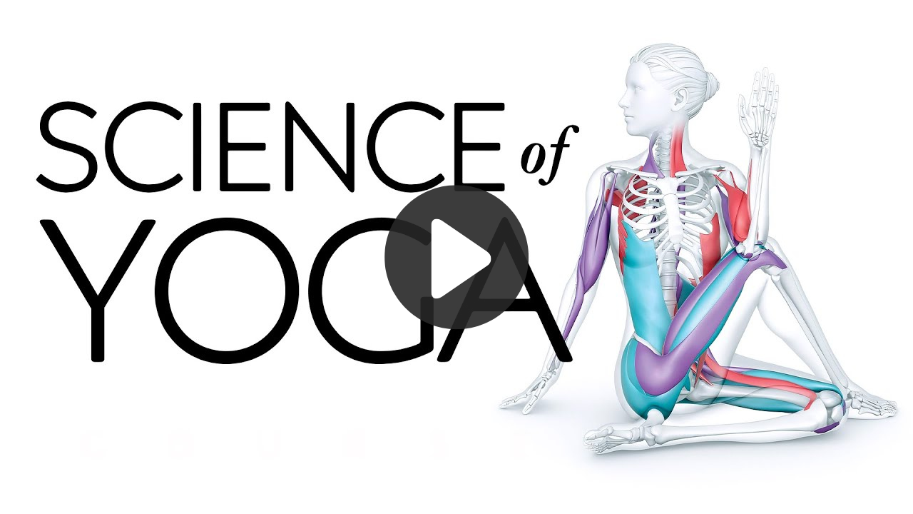 SCIENCE OF YOGA — Ann Swanson Wellness