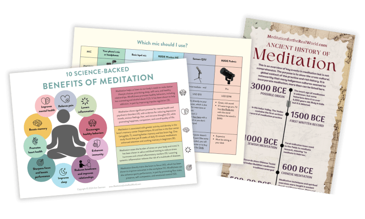 Mockup featuring three infographics, highlighting the first titled ‘Meditation for the Real World,’ which shows 10 science-based benefits of meditation.