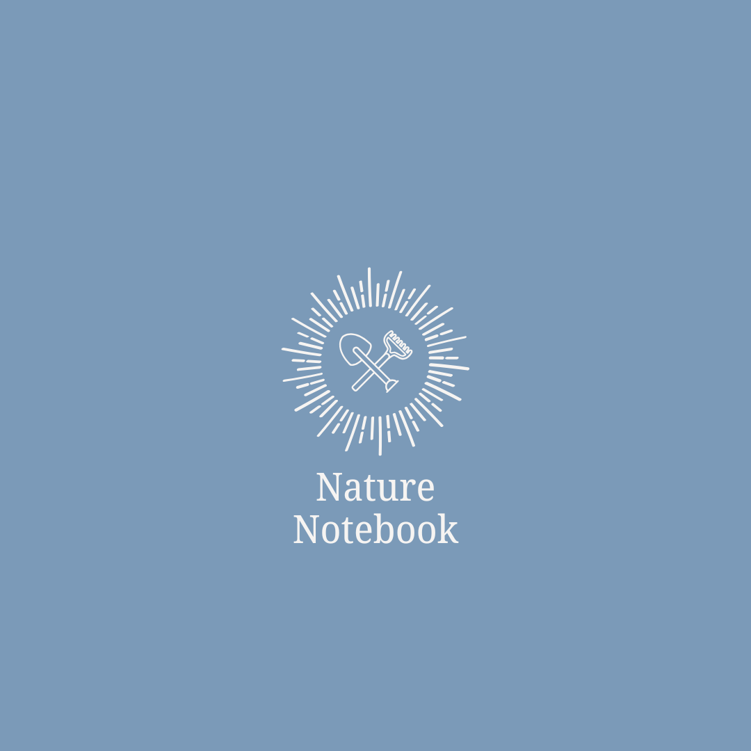 Nature Notebook