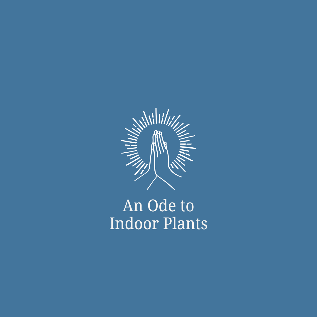 An Ode to Indoor Plants