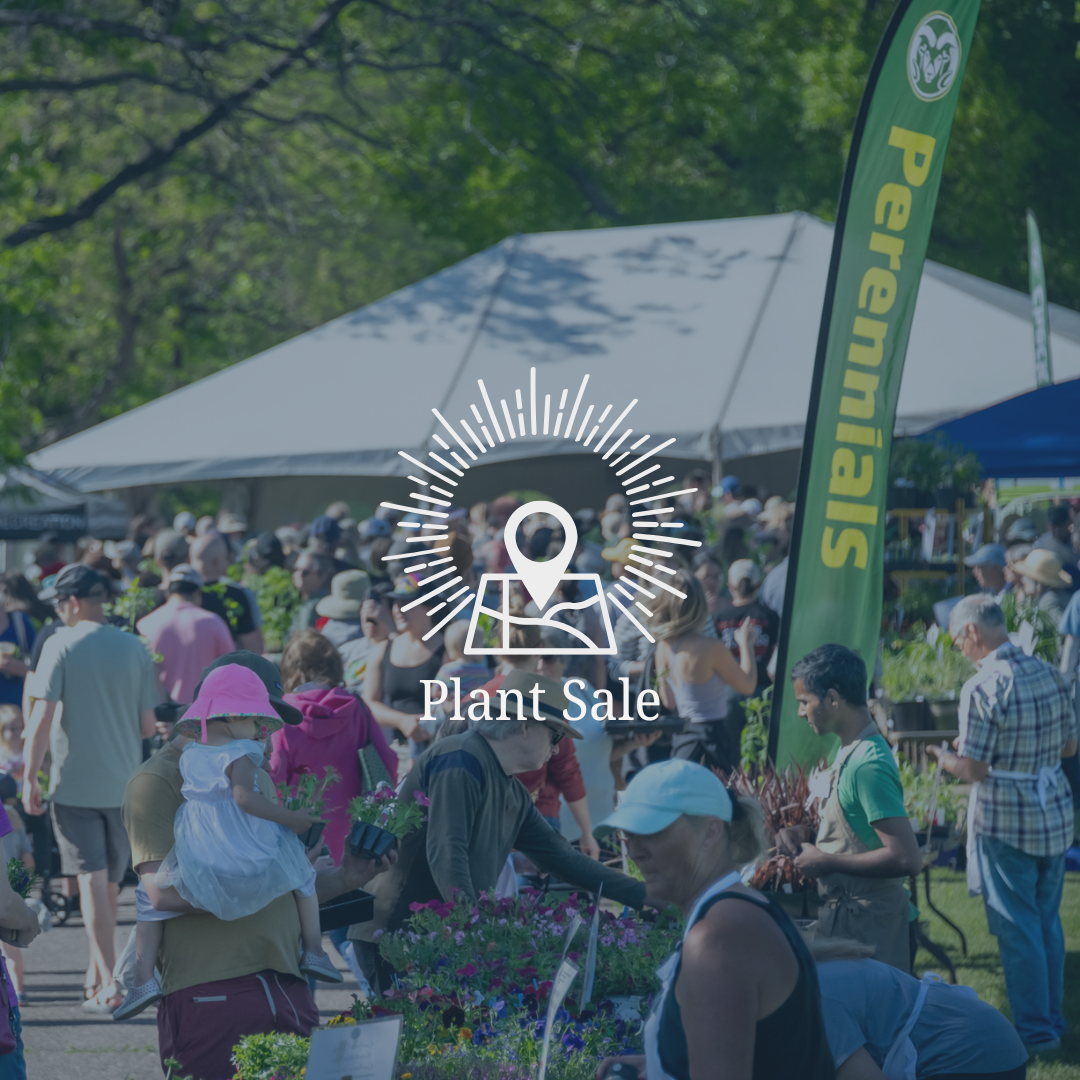 Plant Sale