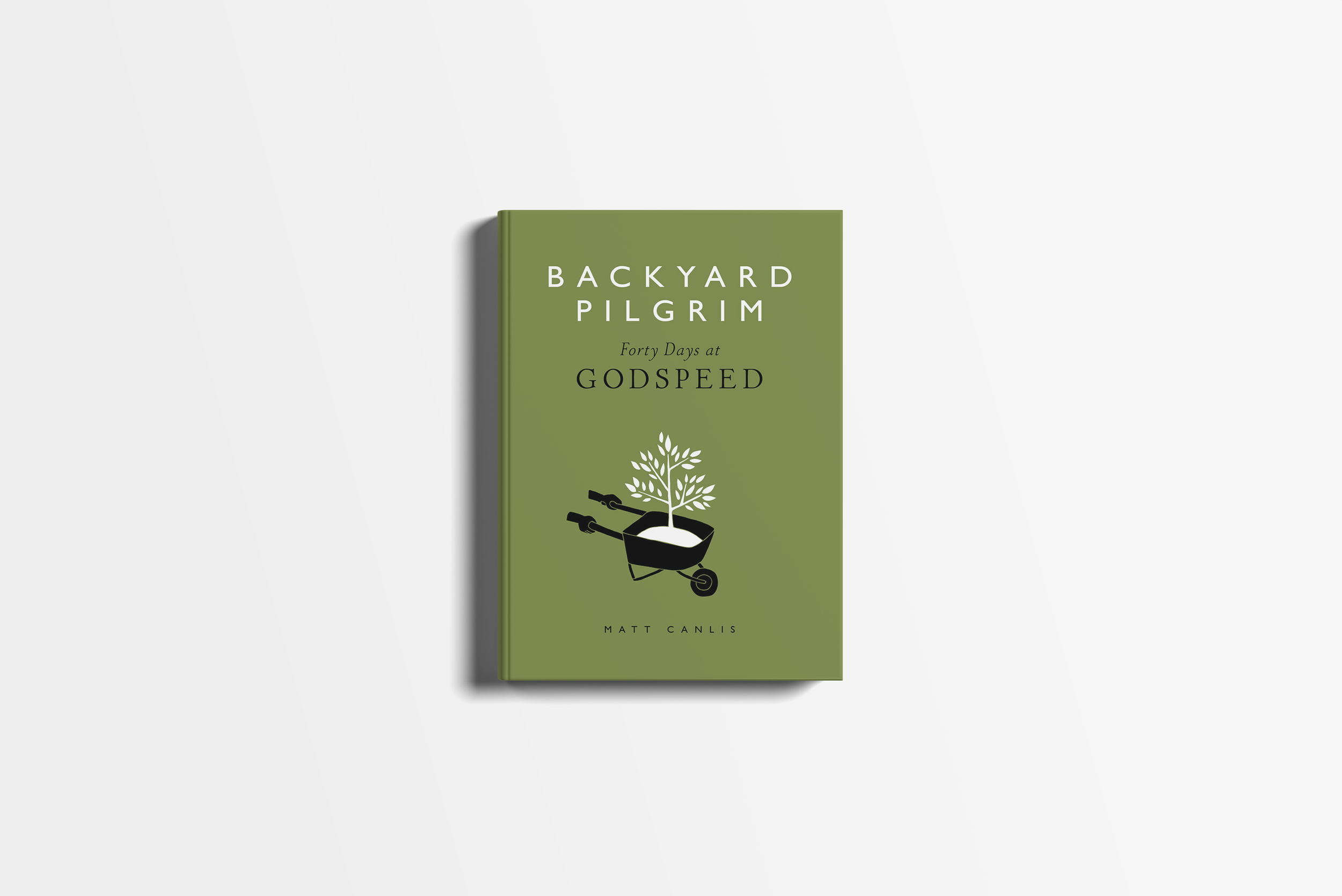 Backyard Pilgrim book cover