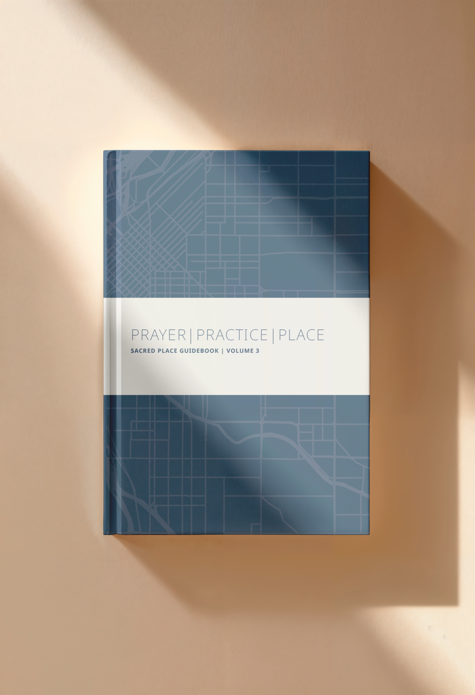 On tan background shadows_Vol 3 Guidebook mockup.png