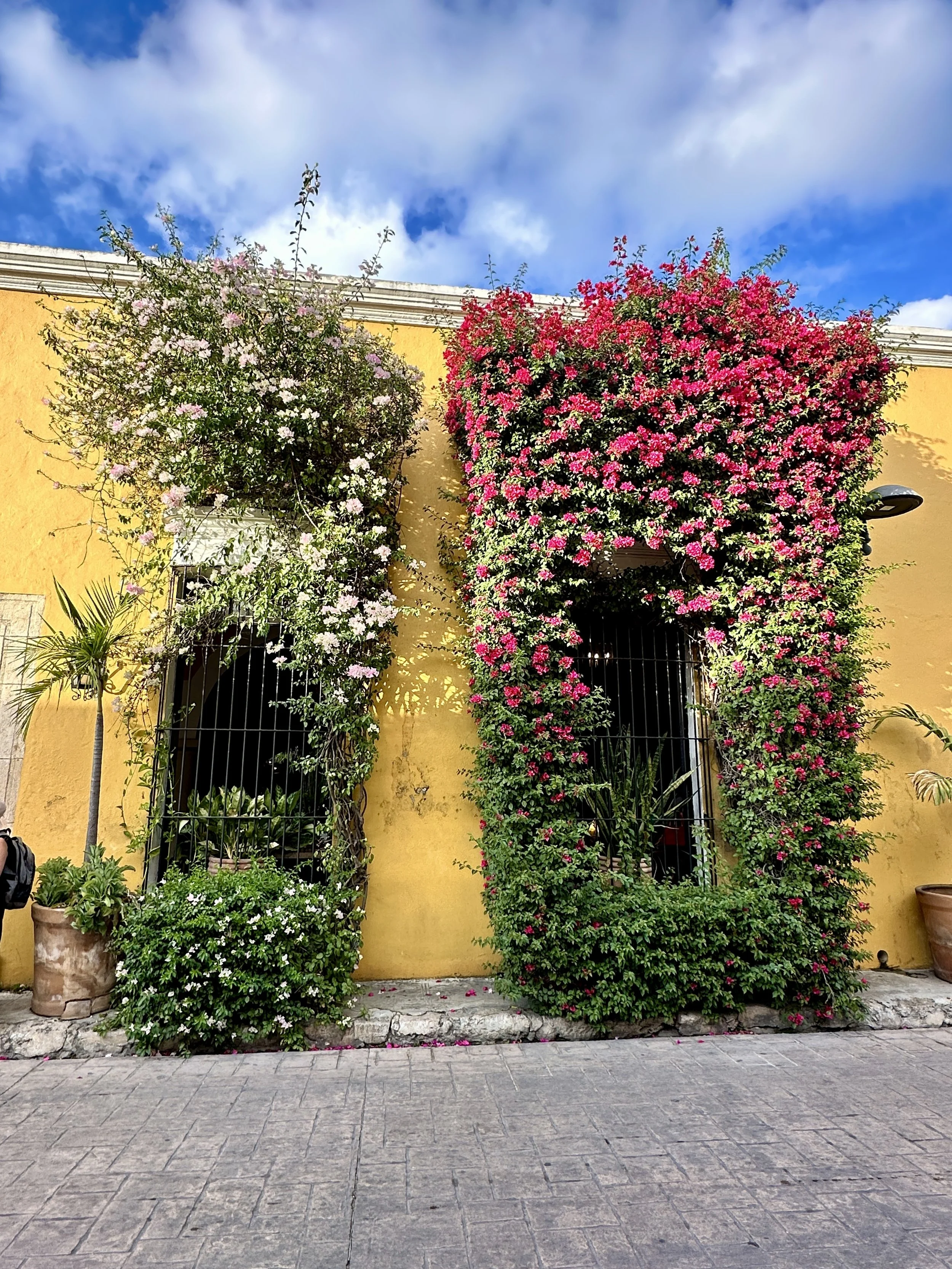 v. 63 Good Good News at 30,000 Feet 