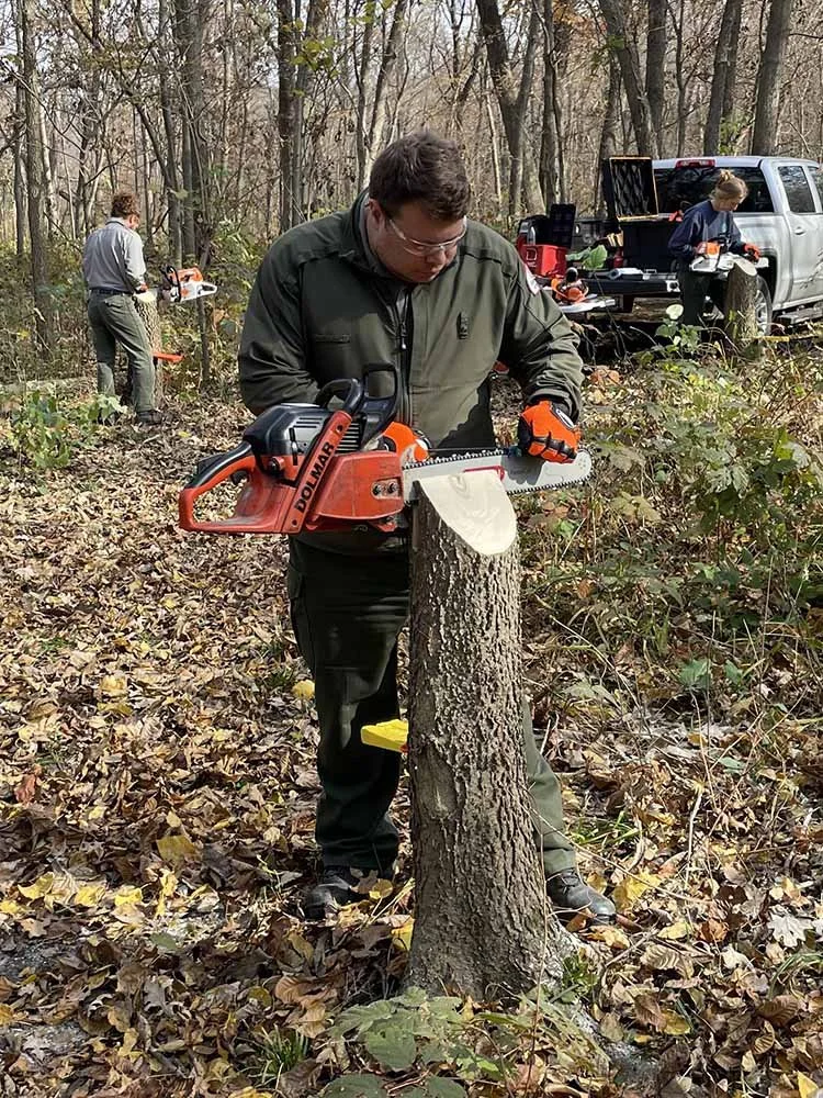 Education — Blue Heron Stewardship Practical solutions in restorative forestry in the Driftless