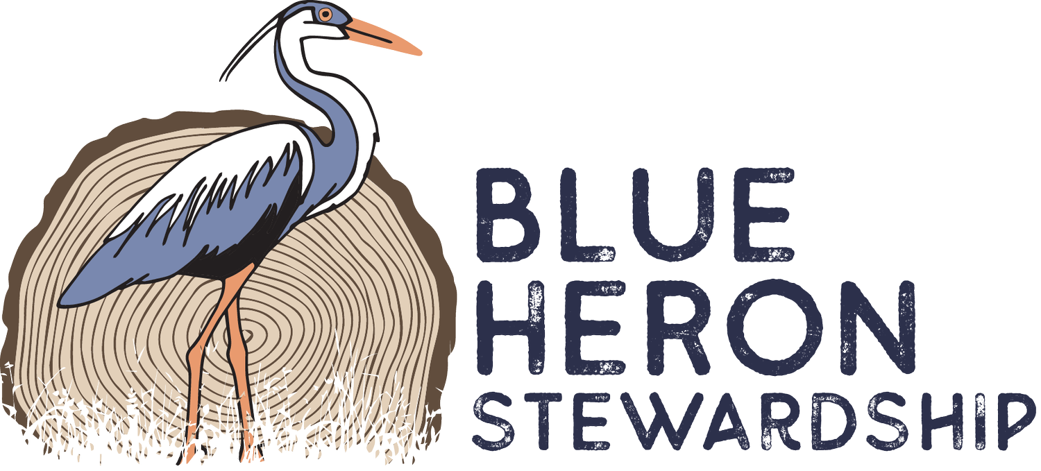 Blue Heron Stewardship