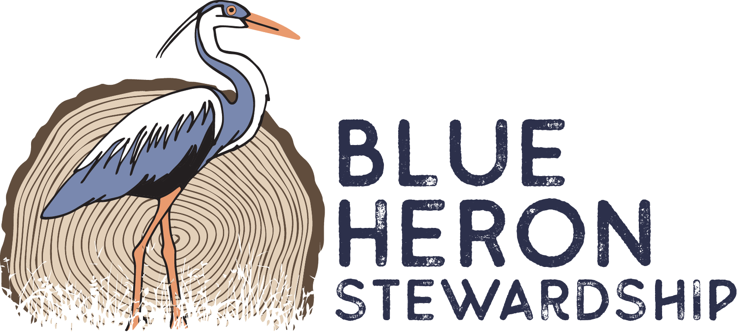 Blue Heron Stewardship: Practical solutions in restorative forestry in ...