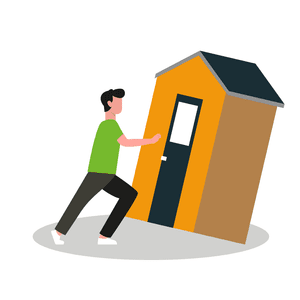 Shed Removal