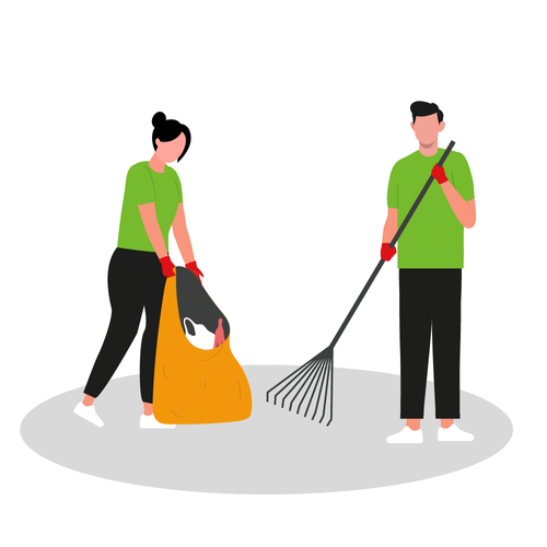 Yard Waste Removal