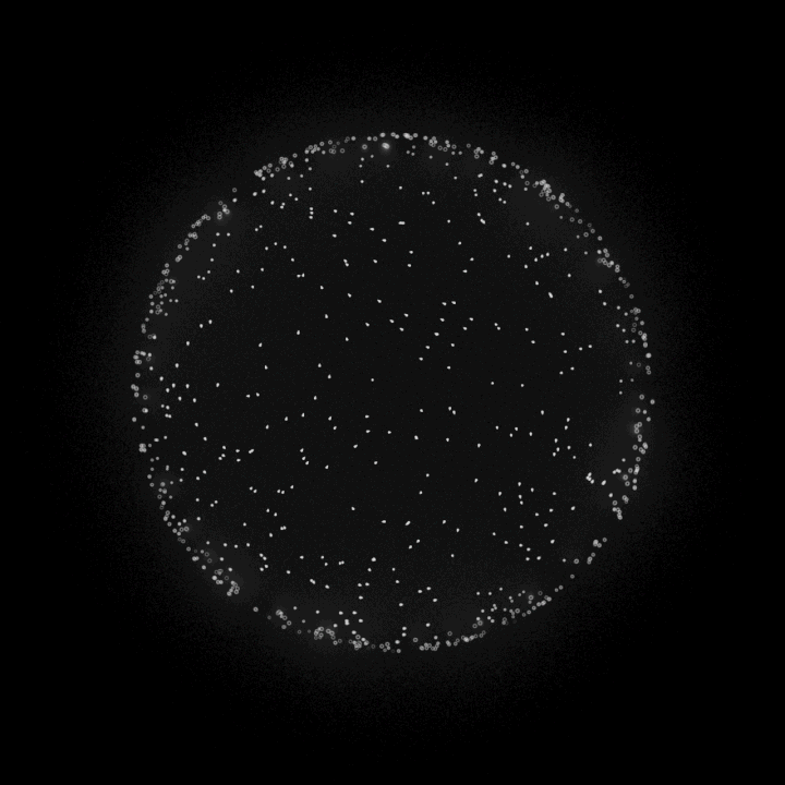 SMB_design_RND_WB_v017_1-ezgif.com-resize.gif