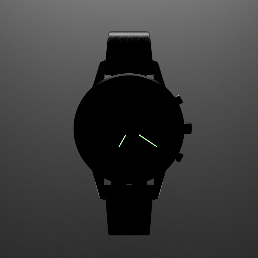 Triwa Watches