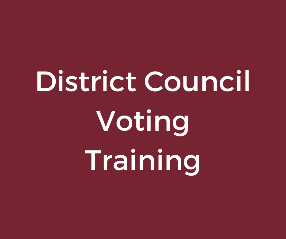 Votapex Training for District Council Meeting