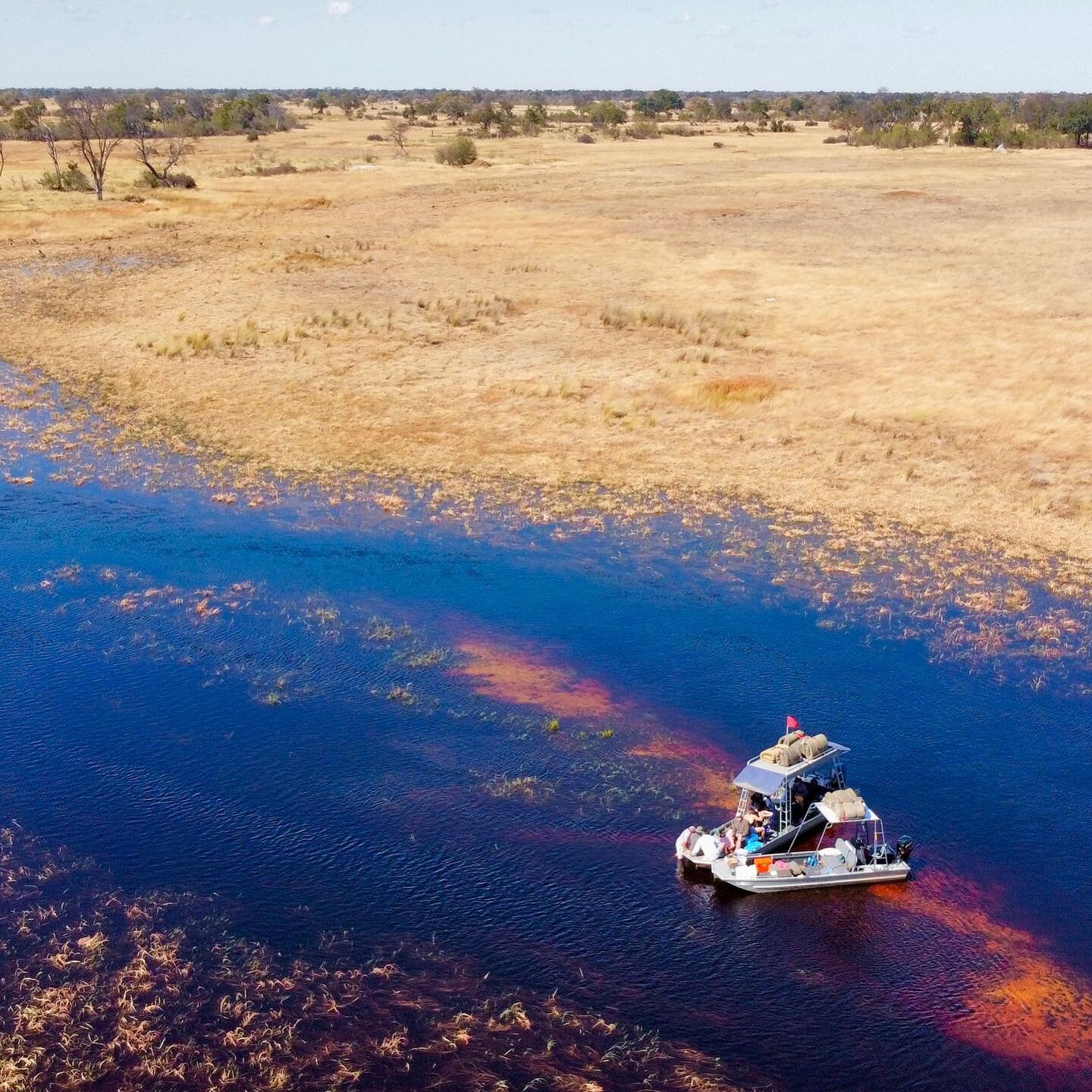 If you want to go fast, go alone. If you want to go far, go together 🇧🇼 

#boatsafari #okavangodelta #africa #boat #mercurymarine #safari #aluminiumboat