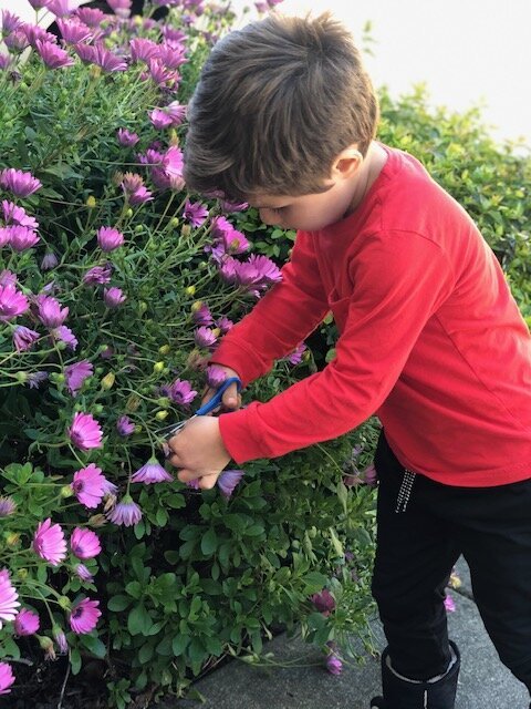 58d6c-lincolnflowers28129.jpeg