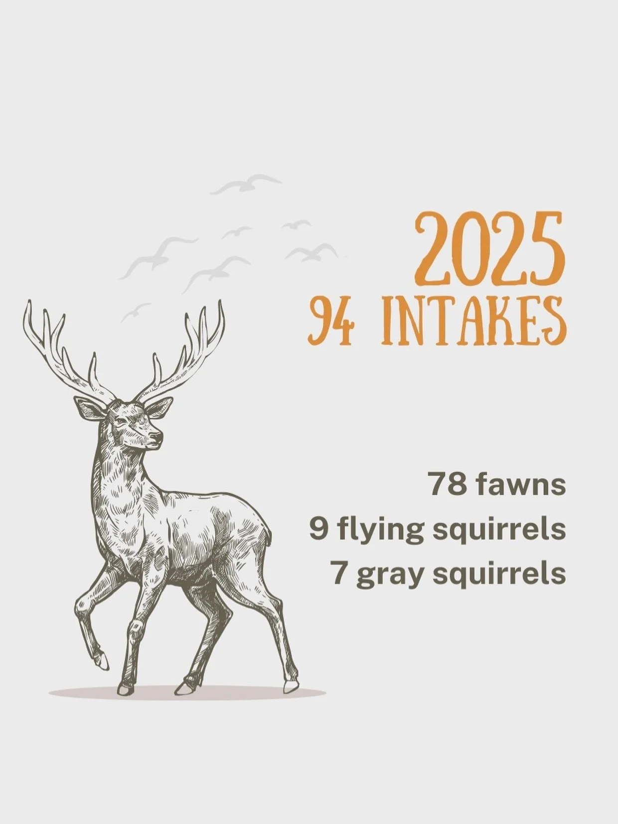 🐾 2025 🐾

Every number tells a story. In 2025, we cared for more animals than ever, and we couldn&rsquo;t have done it without our amazing community. 

As we wrap up the year, we&rsquo;re incredibly grateful to our volunteers, donors, veterinarians