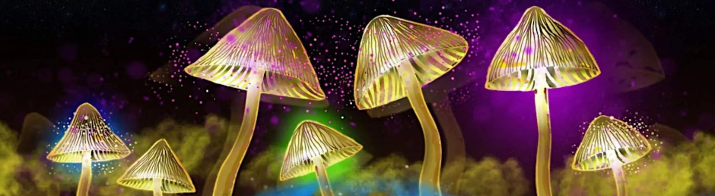 SEED TALKS: THE SCIENCE OF PSYCHEDELICS — Peckham Levels