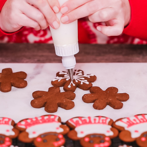 Royal Icing Cookie Decorating MSTC Class