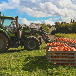Pumpkin Picker Challenge Drop-In Activity