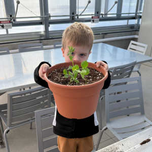 Homeschool Workshop: Companion Planting