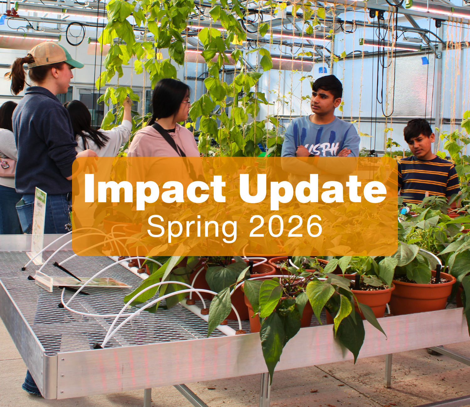 Spring 2026 Impact Update