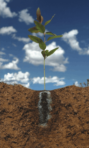 Hydrogels in Agriculture