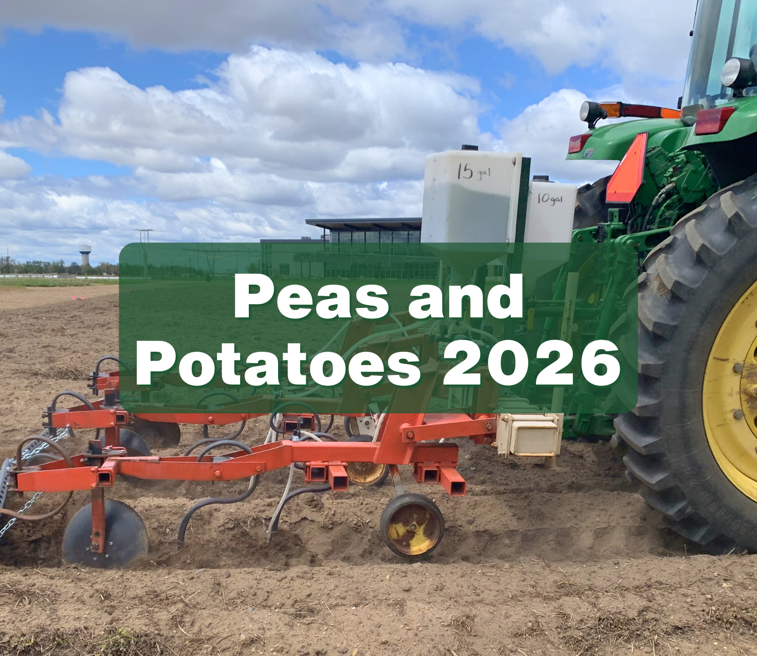 2026: June Peas &amp; Our Official U-Pick Kickoff in July