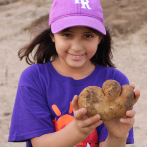 Homeschool Workshop: Harvest