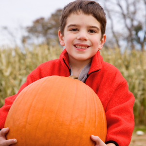 Homeschool Workshop: Pumpkins