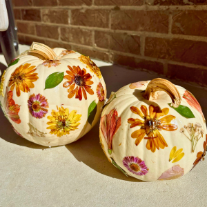 Gorgeous Gourds Workshop