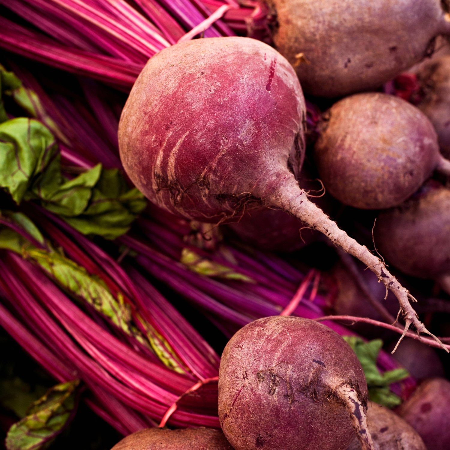 Red beets in pile