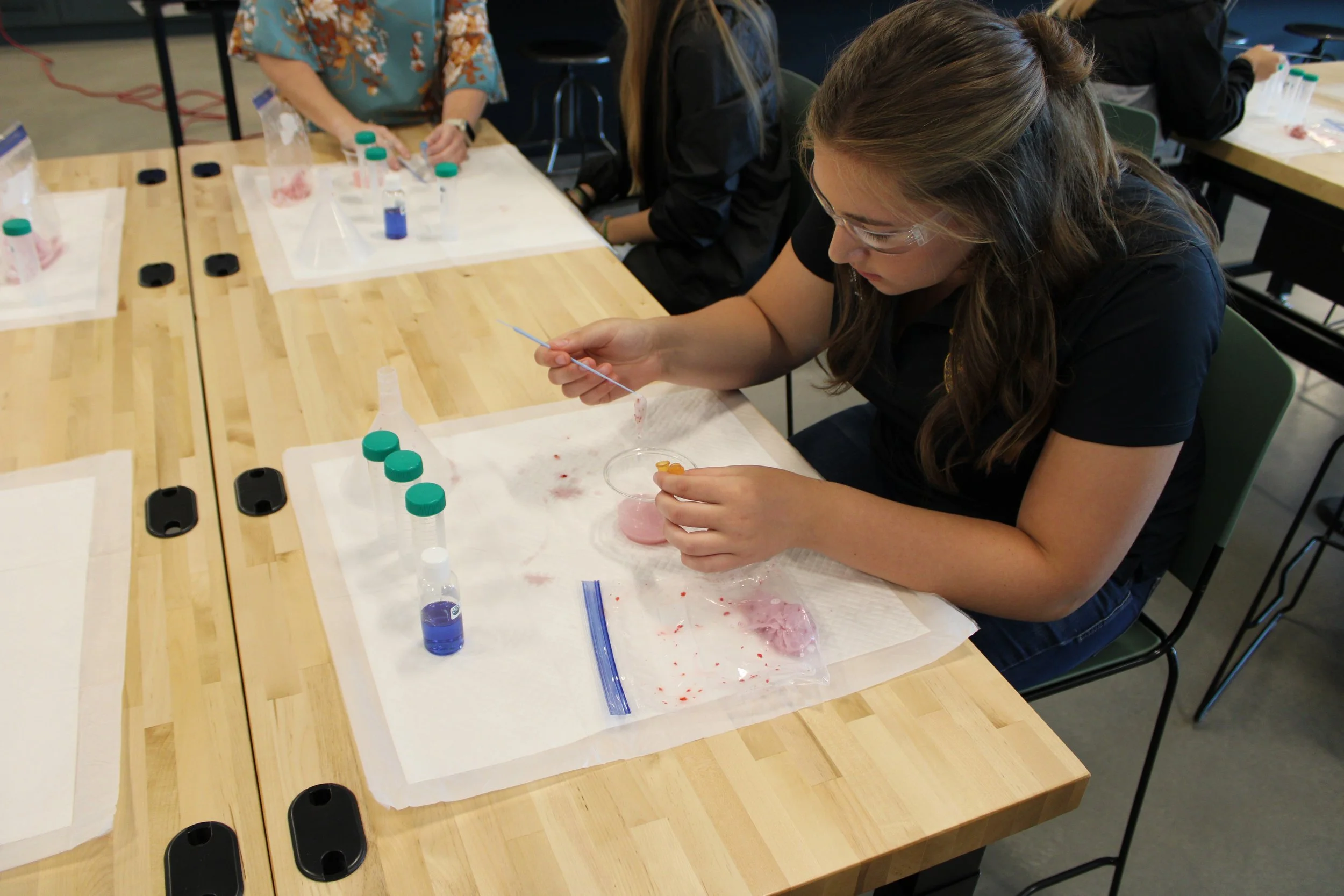 Food And Farm Exploration Center – SSKEHG