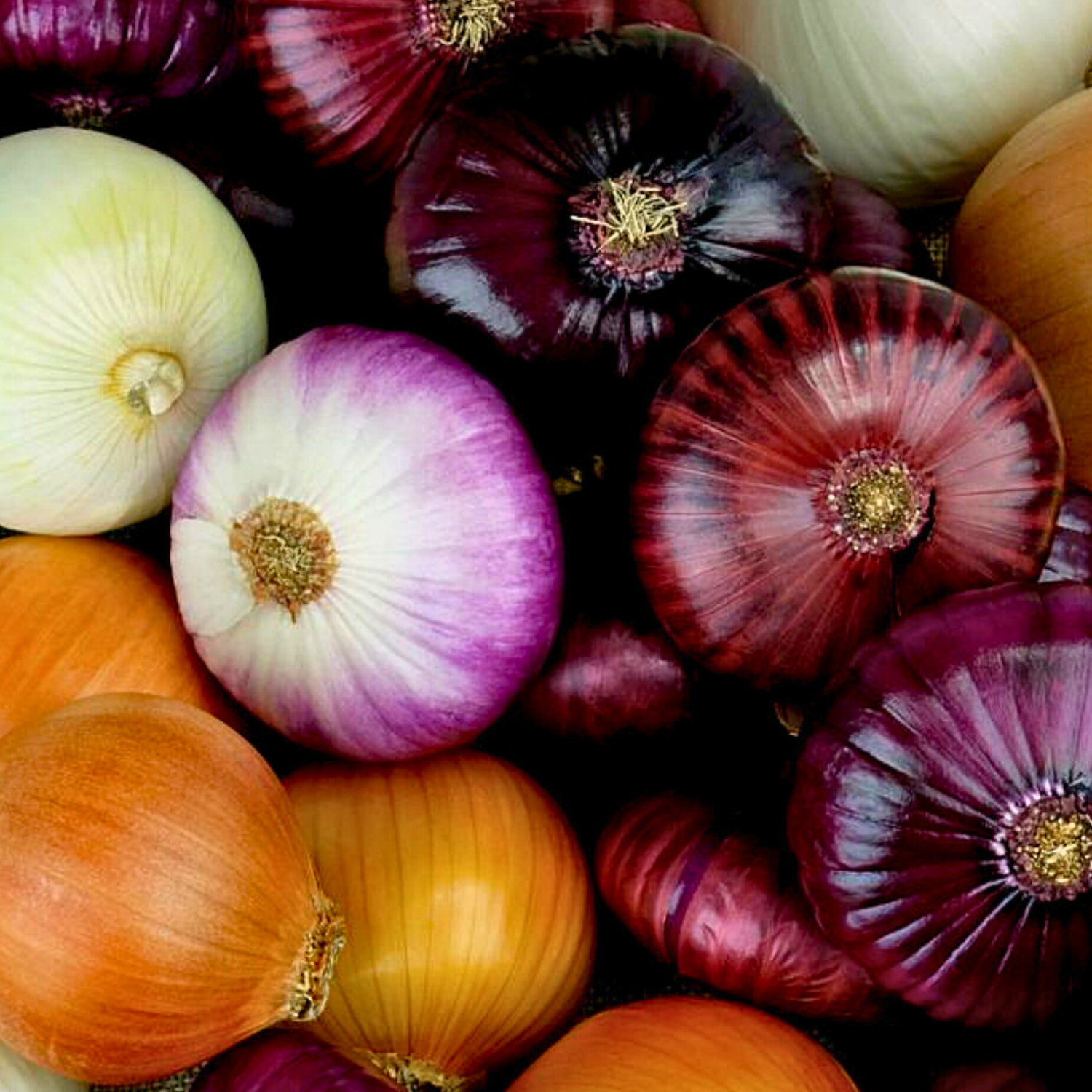 Variety of onions in a pile