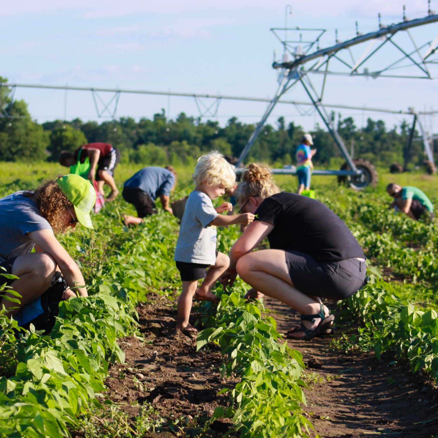 Exploring Farm Interactive Exhibits & Farm Experiences | Food + Farm Exploration Center