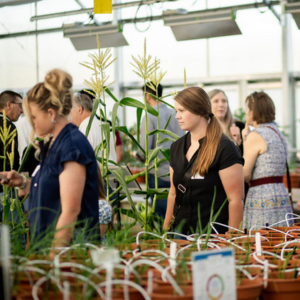 Group of people exploring an educational greenhouse