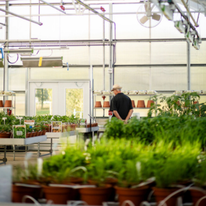Man walking through educational greenhouse