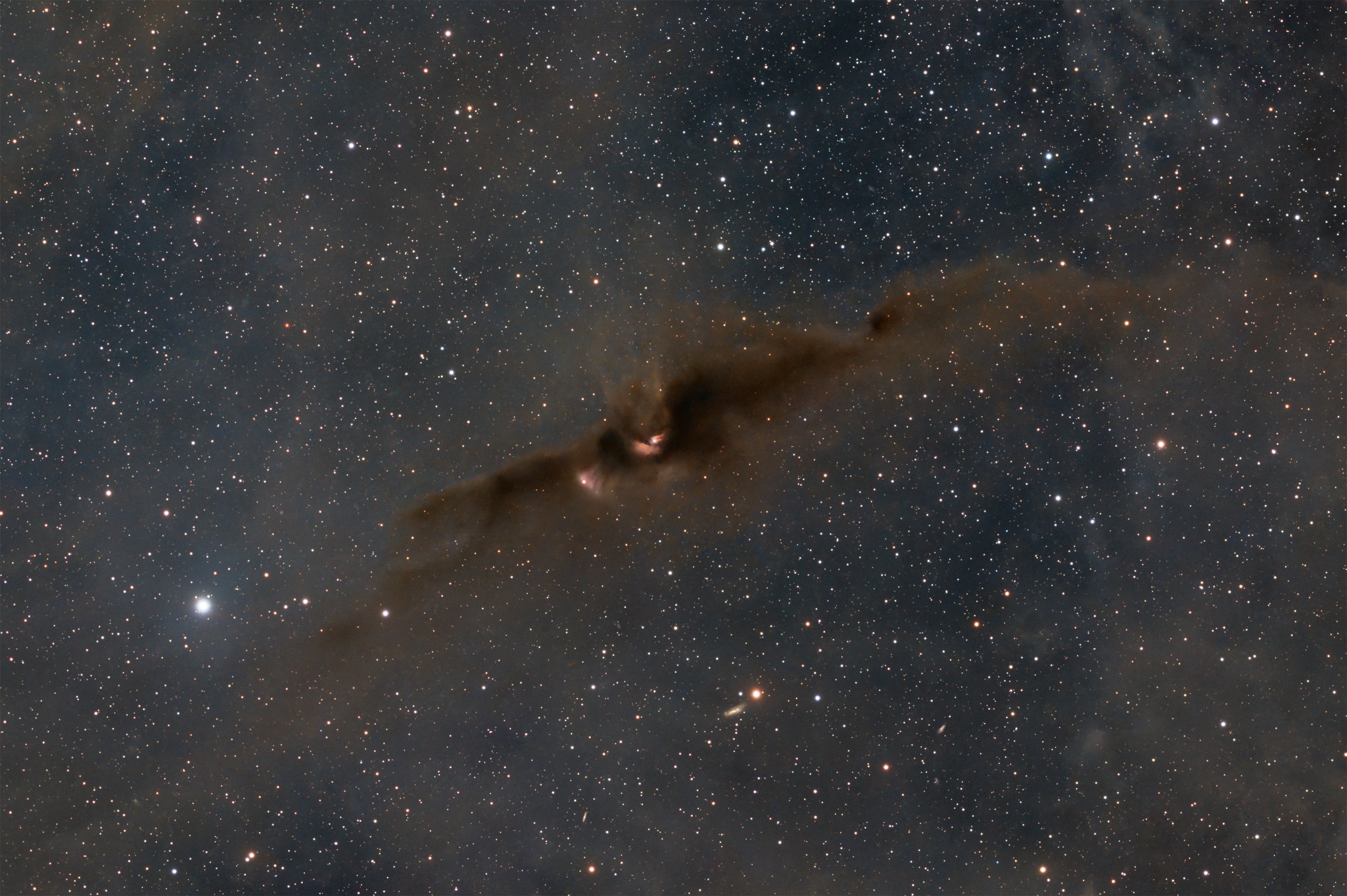 LDN 43 – Cosmic Bat Nebula – captured with a Sky-Watcher Esprit 100 at f/4.12 with ASI2600MM Pro camera and LRGB filters. Image by Cosmic Captures