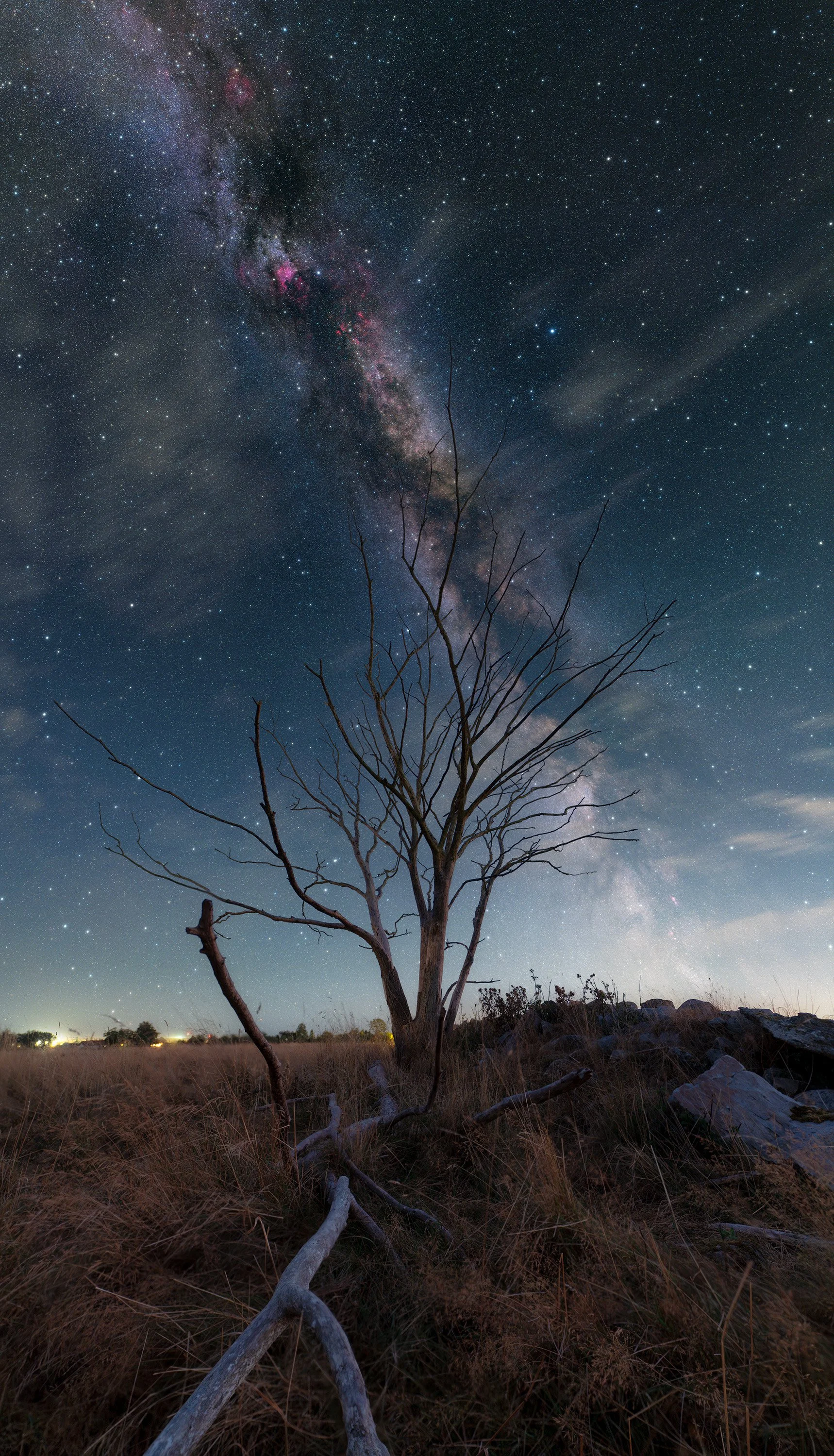 Summer Miky Way (Southern Sweden) – captured with a Sony A7RIV astromodified camera and a Sigma 14mm f1.4 lens. RGB sky with foreground composite. Image by Cosmic Captures