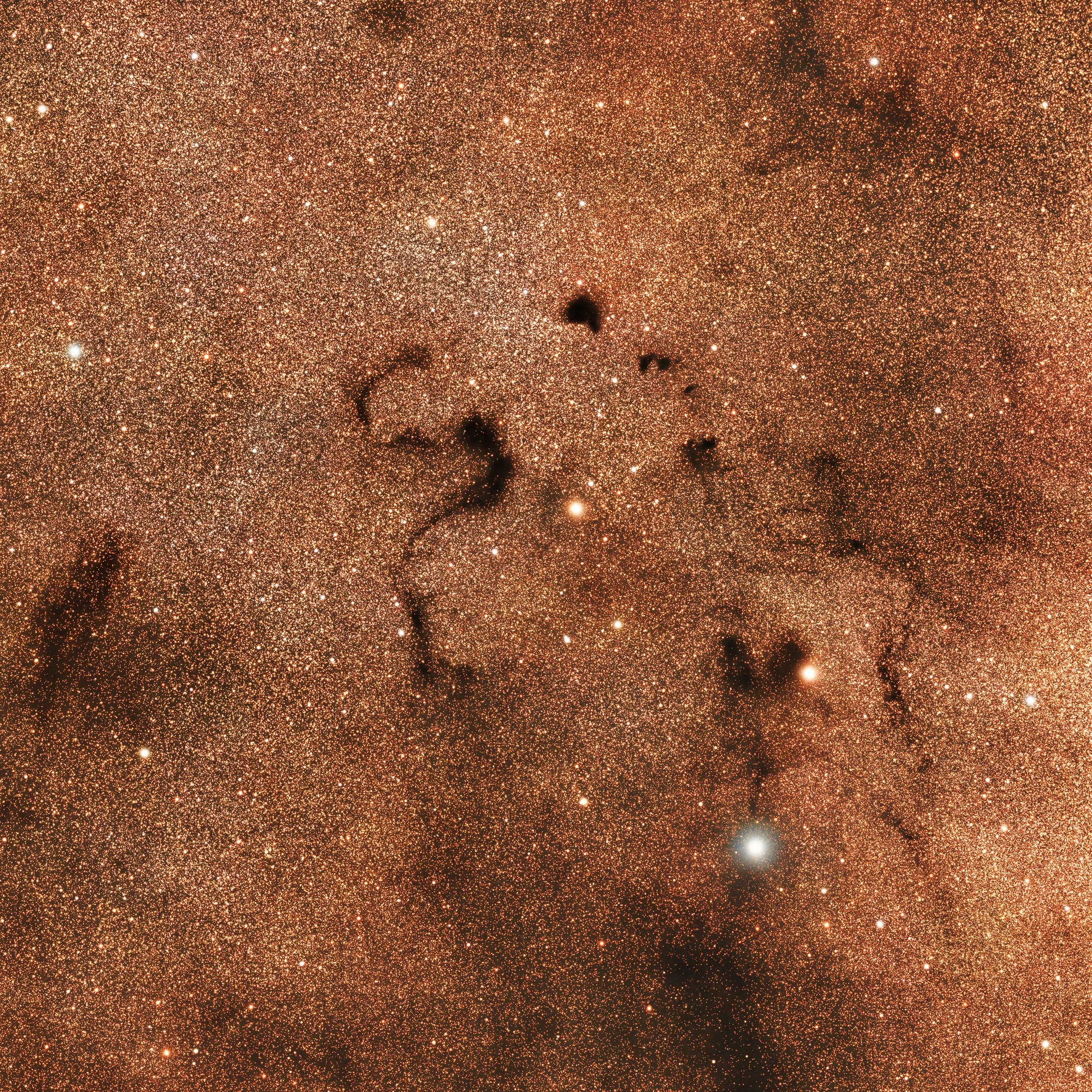 Barnard 72 – Snake Nebula – captured with a Sky-Watcher Esprit 100 at f/4.12 with ASI2600MM Pro camera and RGB filters. Image by Cosmic Captures