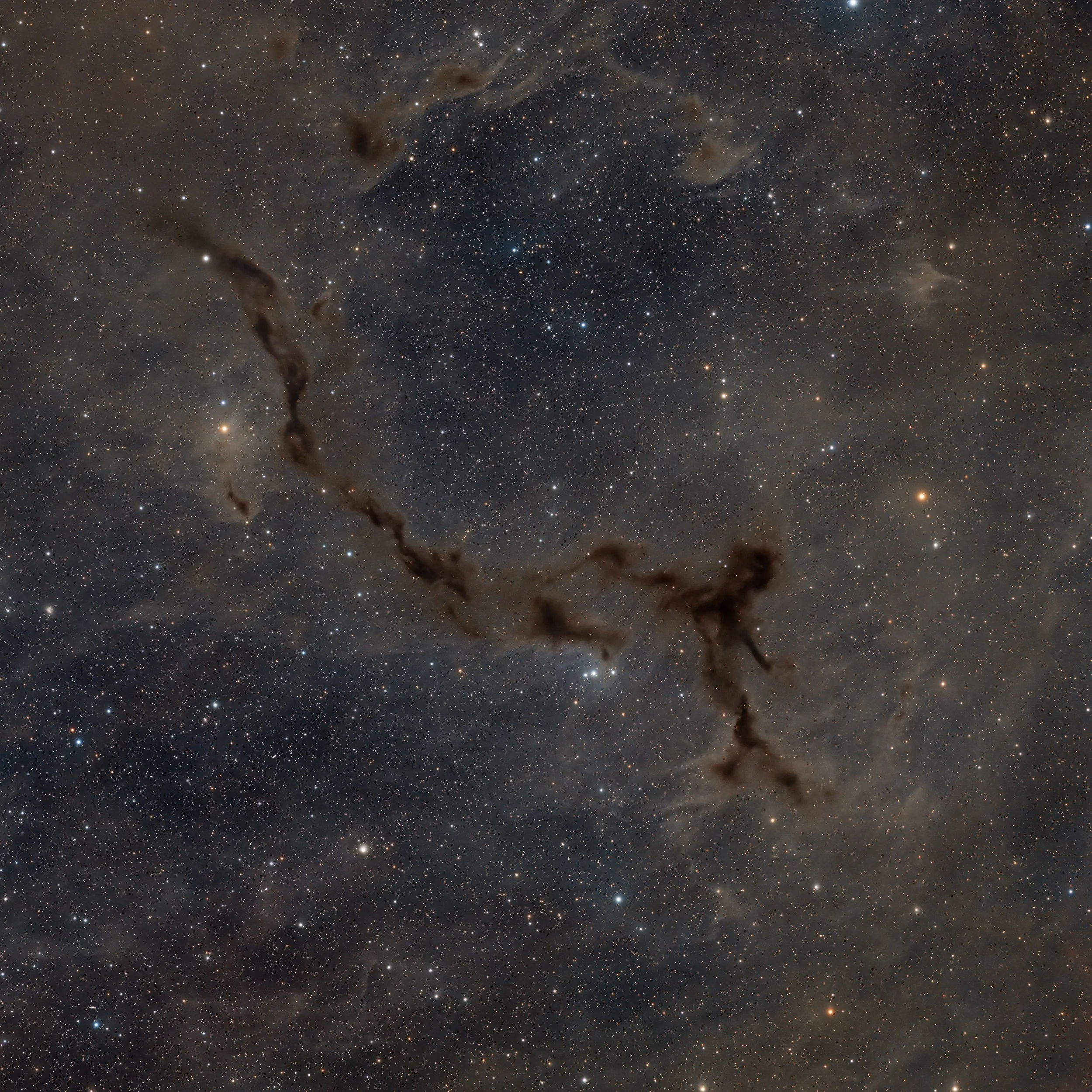 Barnard 150 – Seahorse Nebula  (though in this orientation it looks more like a dancer with a flying scarf to me) – captured with a Sky-Watcher Esprit 100 at f/4.12 with ASI2600MM Pro camera and LRGB filters. Image by Cosmic Captures