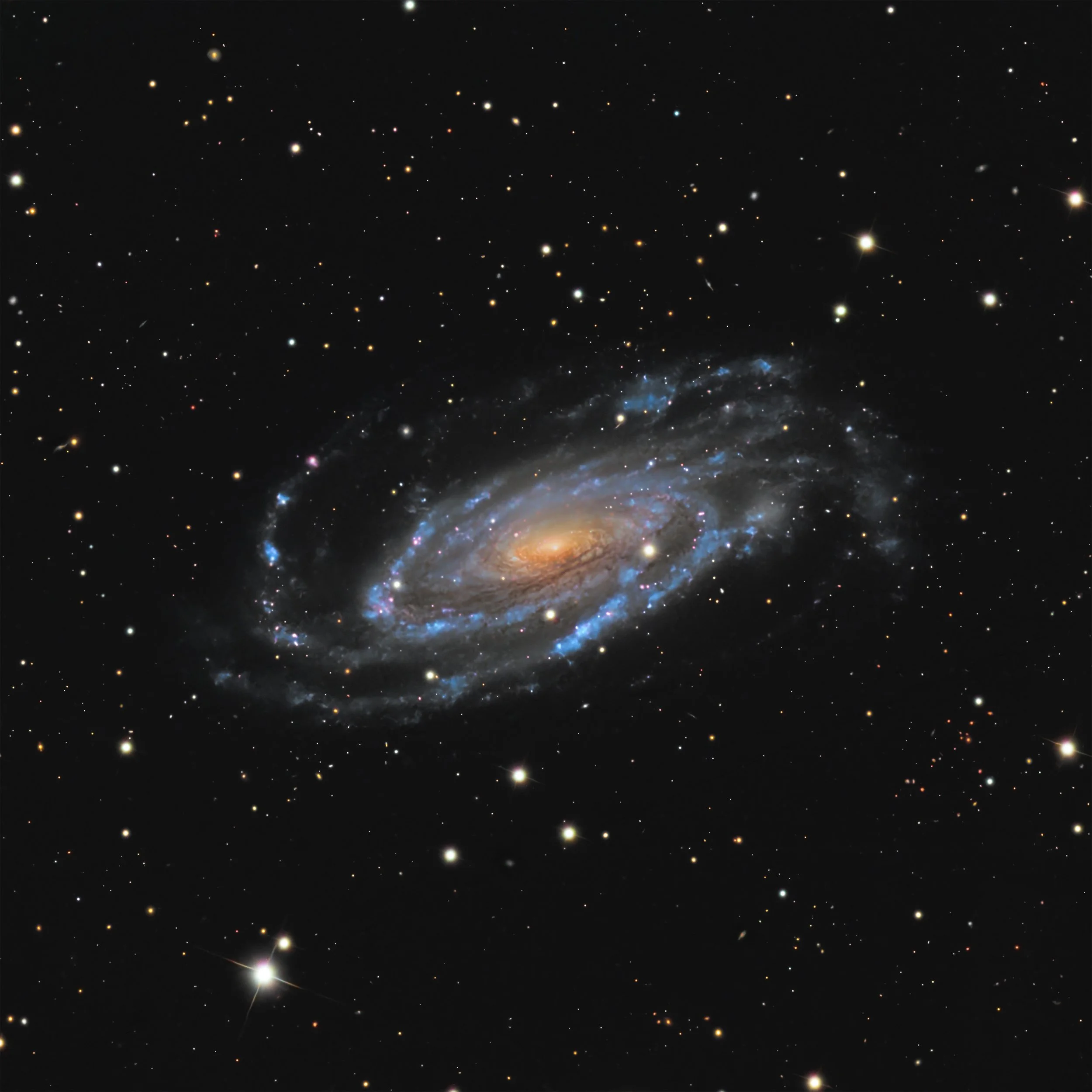 NGC 5033 – Waterbug Galaxy – processed by Cosmic Captures from Telescope.Live image data