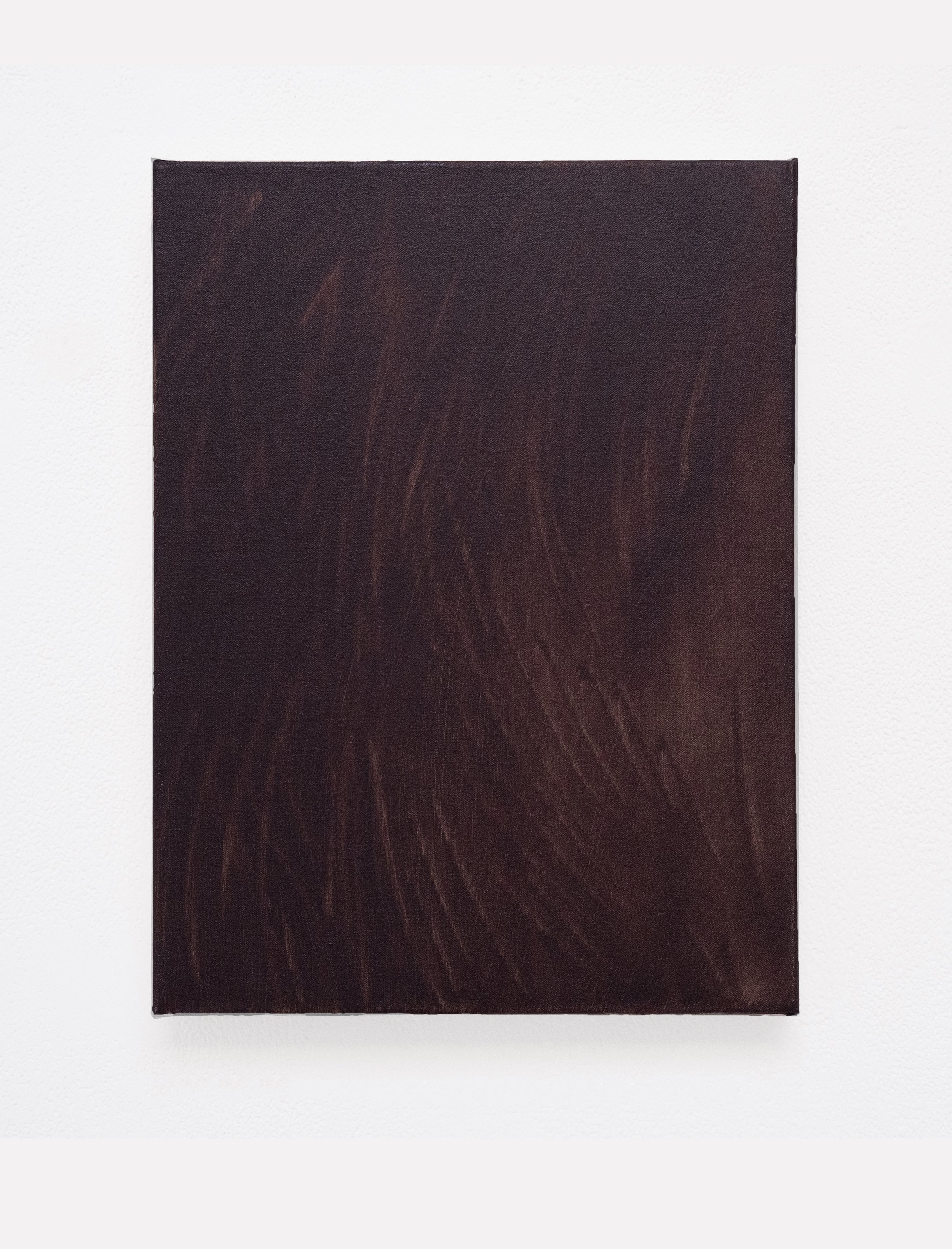 Untitled (Brown), 40.6 x 30.5cm, Oil on Canvas, 2025