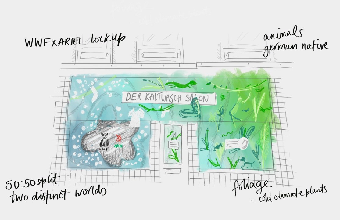 WWF sketch.jpg