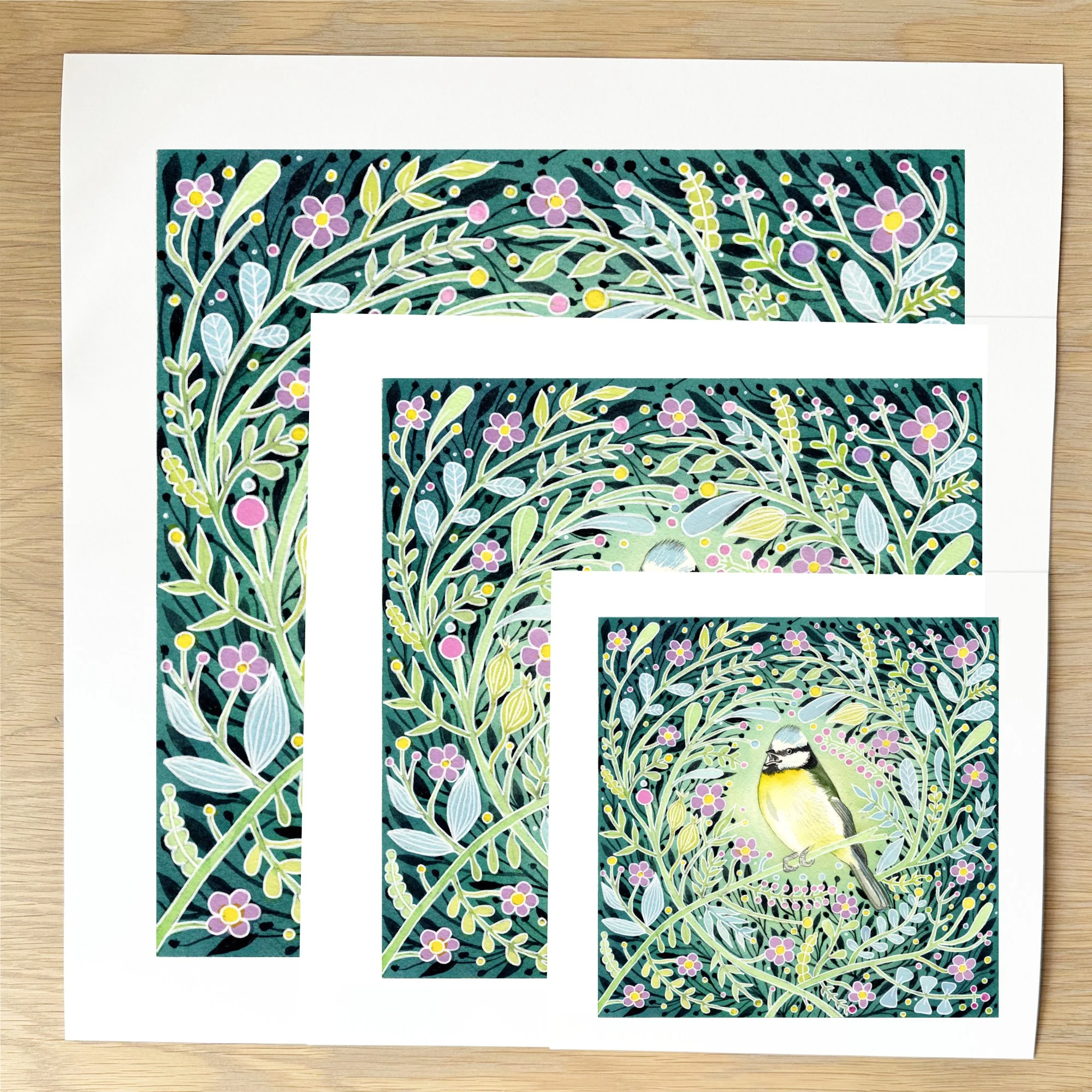art print sizes dependable mr blue tit.jpg