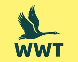 WWT logo square.jpeg