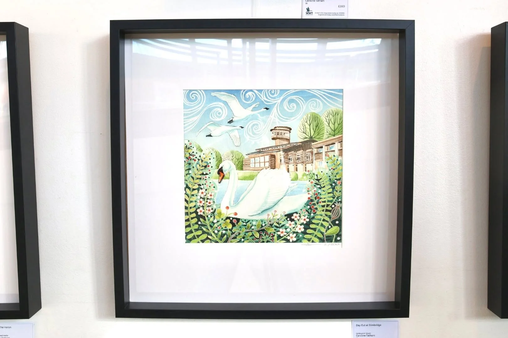 Happy #WorldWetlandsDay !

Growing up just a stone&rsquo;s throw away from the @wwtslimbridge Wetlands Centre makes this day extra special for our family.

We&rsquo;ve spent many happy memories watching the swans on Swan Lake, looking at the pretty p