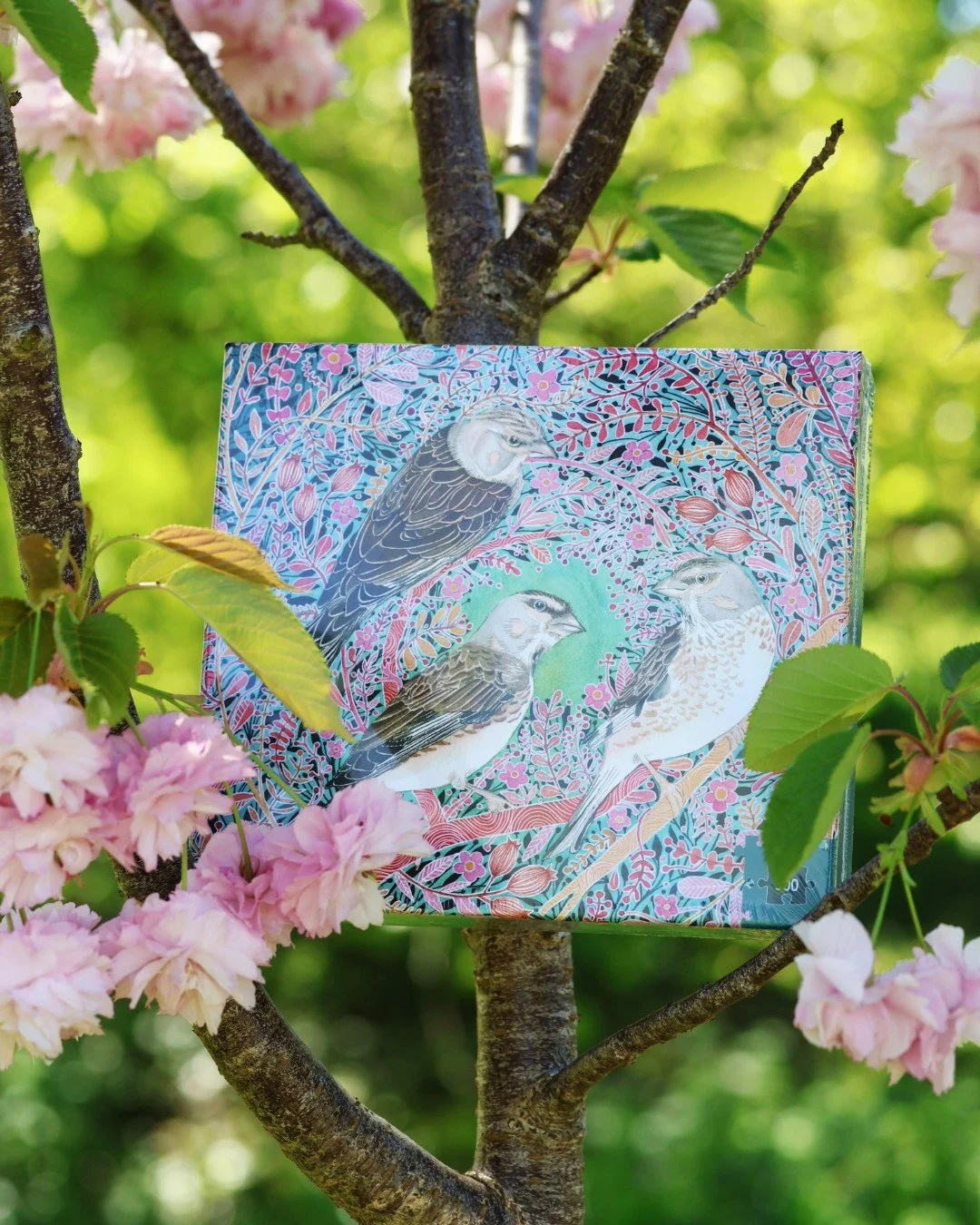 Here at Caroline Tatham Art, we're so proud to be announcing our brand new jigsaw 'A Parcel of Linnets' with our wonderful supplier @ajptrade . The lovely people at All Jigsaw Puzzles were a joy to work with! The jigsaw is now available on our websit